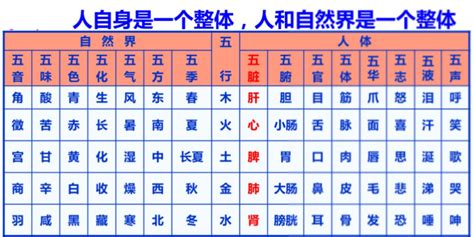 五行代表動物|史上最全五行對應表，有圖解，一看就懂，收藏！